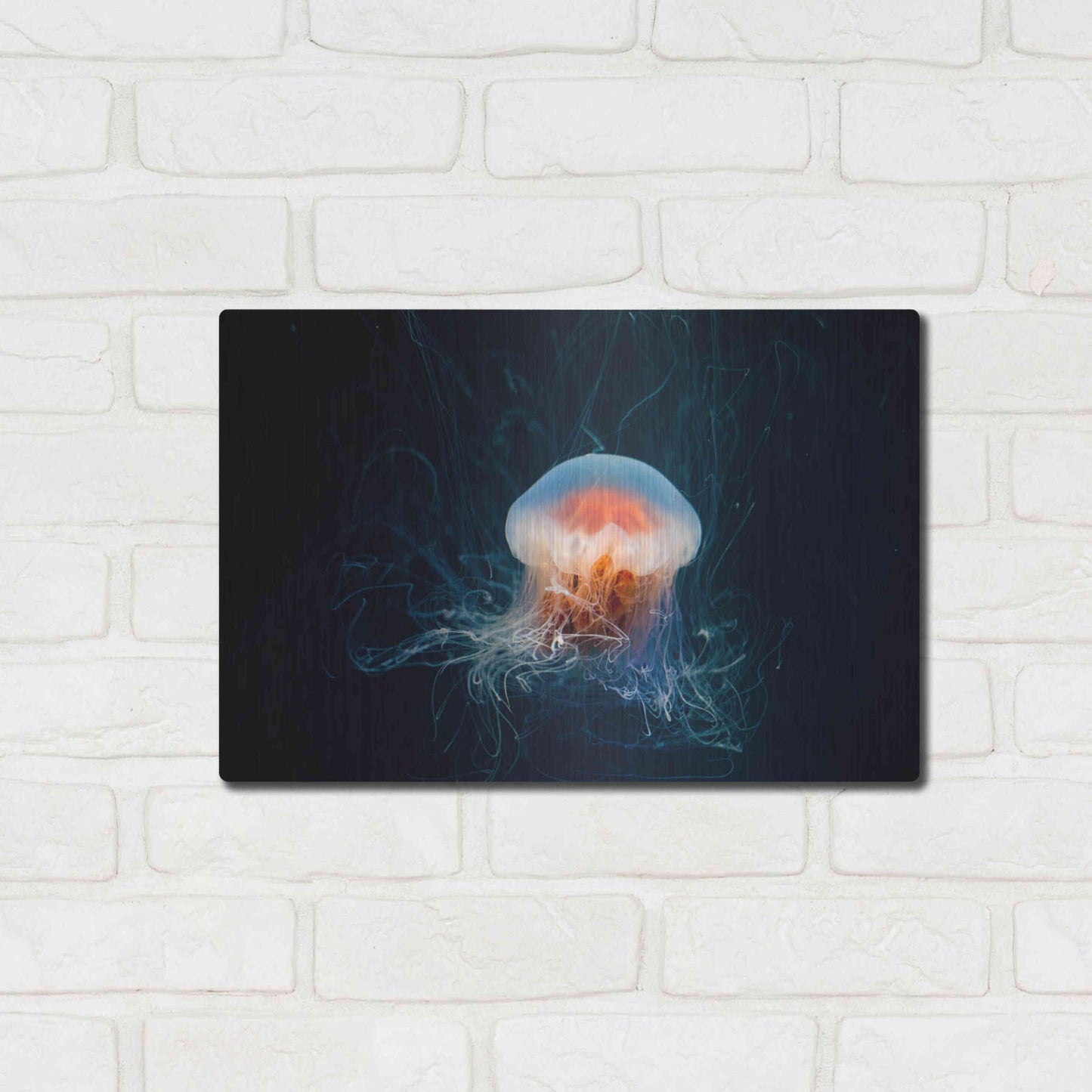 Luxe Metal Art 'Blast Off' by Luxe Portfolio, Metal Wall Art,16x12