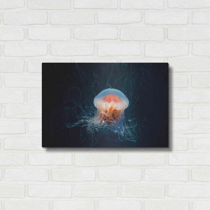 Luxe Metal Art 'Blast Off' by Luxe Portfolio, Metal Wall Art,24x16