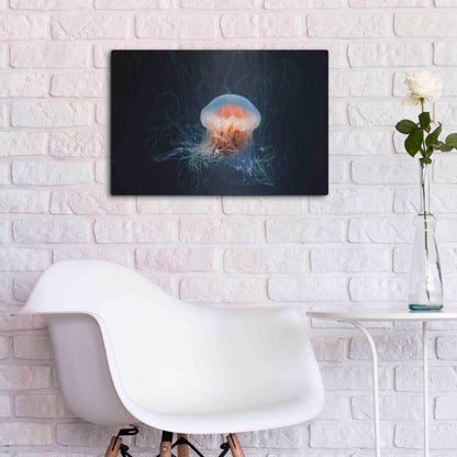 Luxe Metal Art 'Blast Off' by Luxe Portfolio, Metal Wall Art,24x16