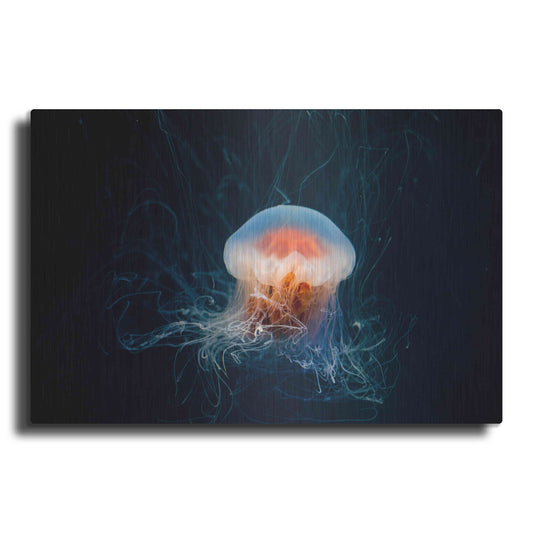 Luxe Metal Art 'Blast Off' by Luxe Portfolio, Metal Wall Art