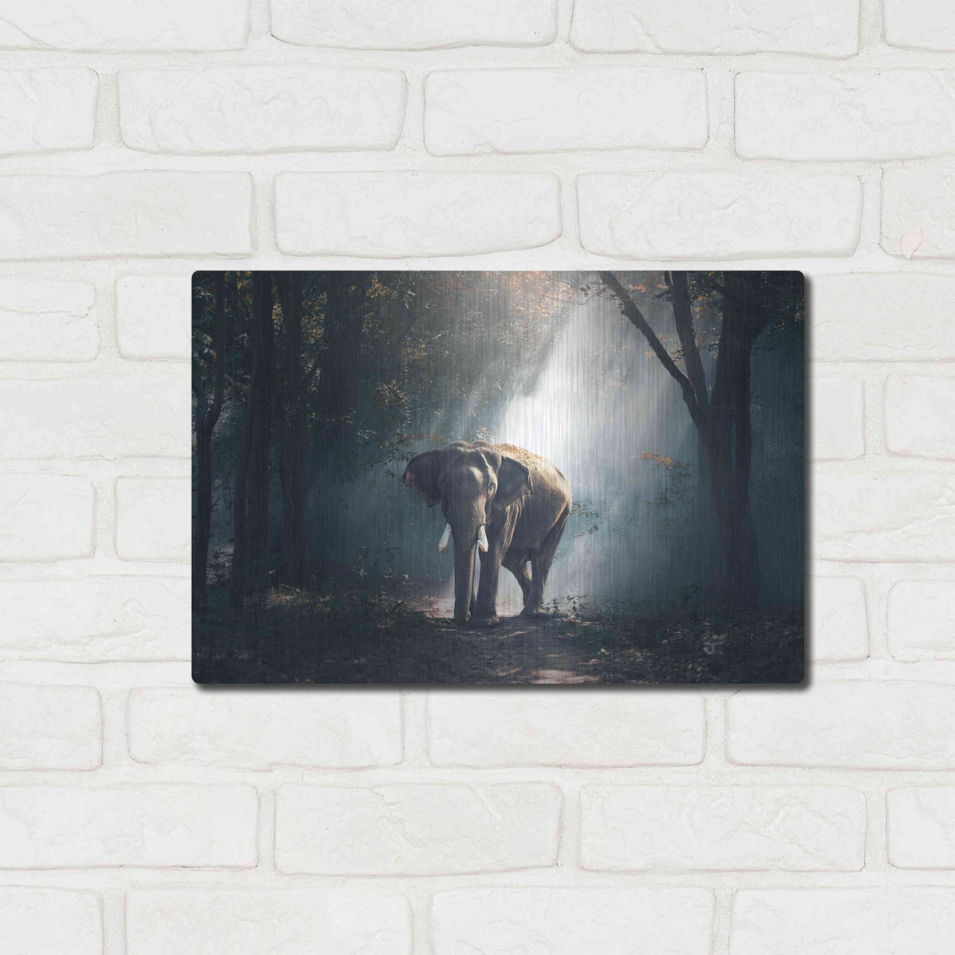 Luxe Metal Art 'Elephant' by Luxe Portfolio, Metal Wall Art,16x12