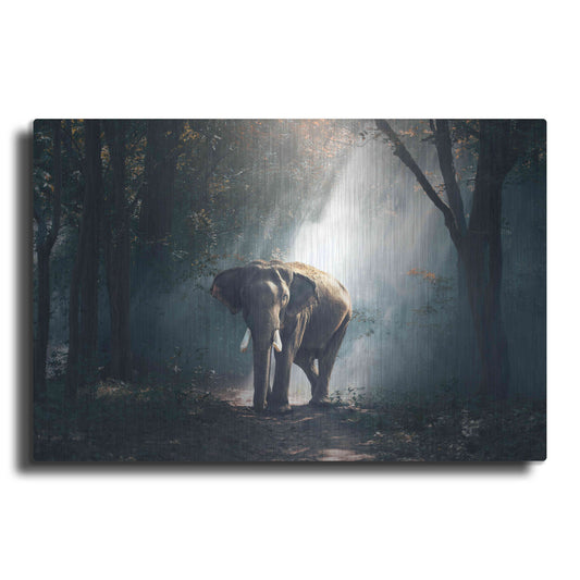 Luxe Metal Art 'Elephant' by Luxe Portfolio, Metal Wall Art