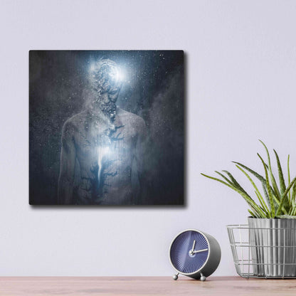 Luxe Metal Art 'Fleeing Of The Soul' by Luxe Portfolio, Metal Wall Art,12x12