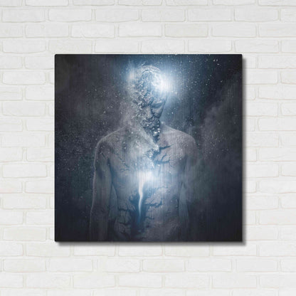 Luxe Metal Art 'Fleeing Of The Soul' by Luxe Portfolio, Metal Wall Art,36x36