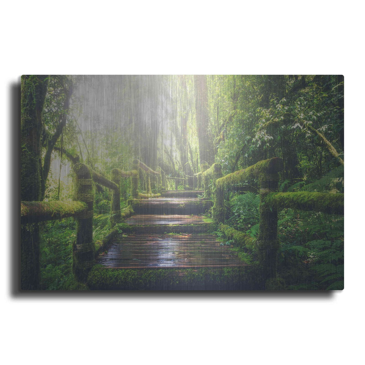 'Jungle' by Luxe Metal Portfolio – Metal Wall Art