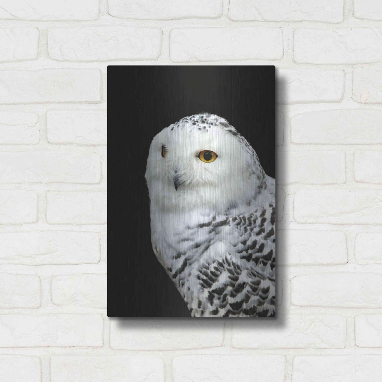 Luxe Metal Art 'Snowy Owl' by Luxe Portfolio, Metal Wall Art,12x16