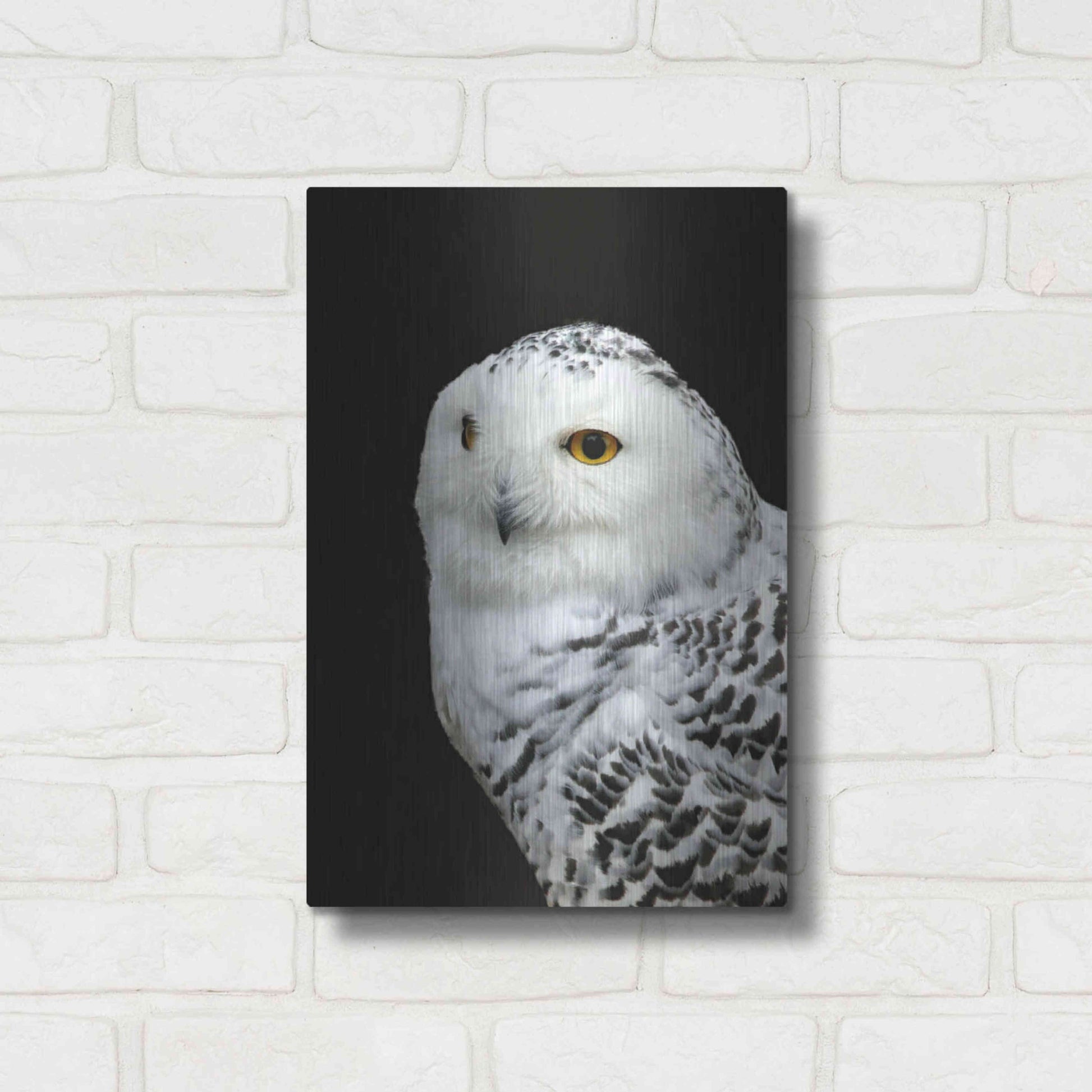 Luxe Metal Art 'Snowy Owl' by Luxe Portfolio, Metal Wall Art,12x16