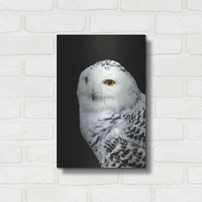 Luxe Metal Art 'Snowy Owl' by Luxe Portfolio, Metal Wall Art,12x16