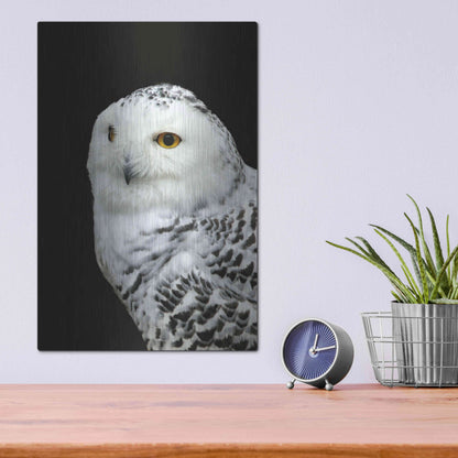 Luxe Metal Art 'Snowy Owl' by Luxe Portfolio, Metal Wall Art,12x16