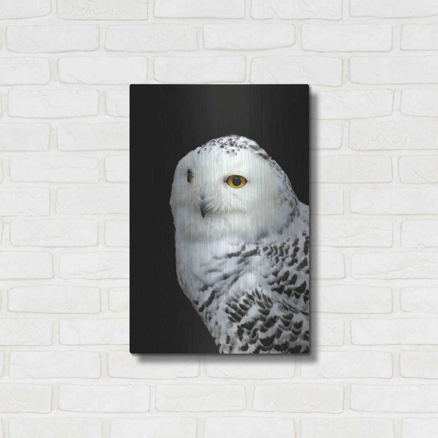 Luxe Metal Art 'Snowy Owl' by Luxe Portfolio, Metal Wall Art,16x24