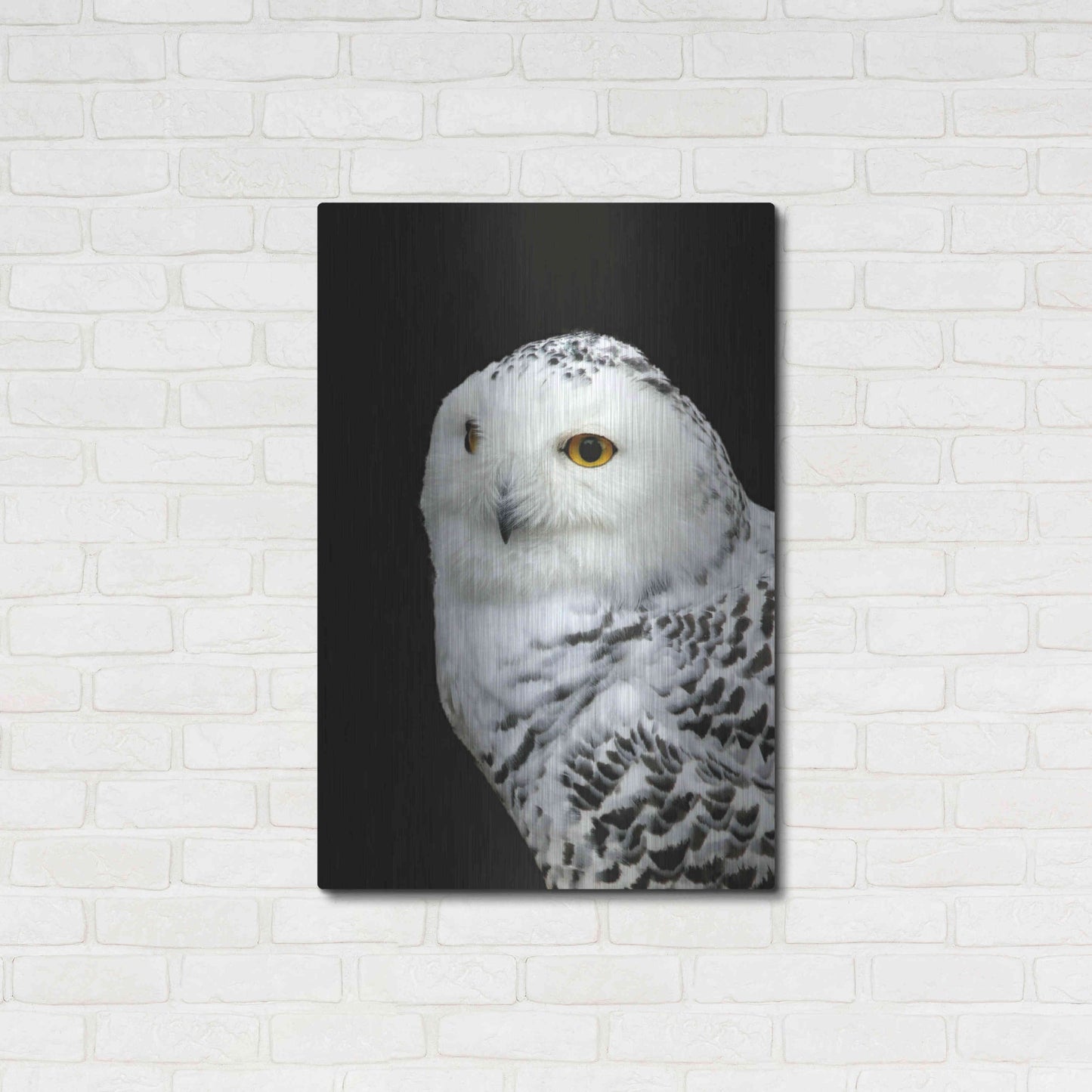 Luxe Metal Art 'Snowy Owl' by Luxe Portfolio, Metal Wall Art,24x36