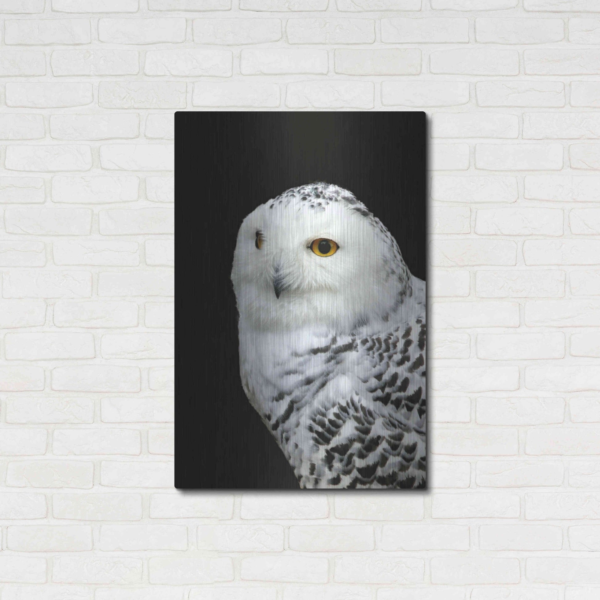 Luxe Metal Art 'Snowy Owl' by Luxe Portfolio, Metal Wall Art,24x36