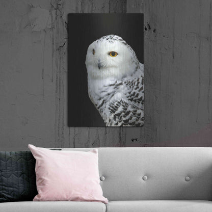 Luxe Metal Art 'Snowy Owl' by Luxe Portfolio, Metal Wall Art,24x36