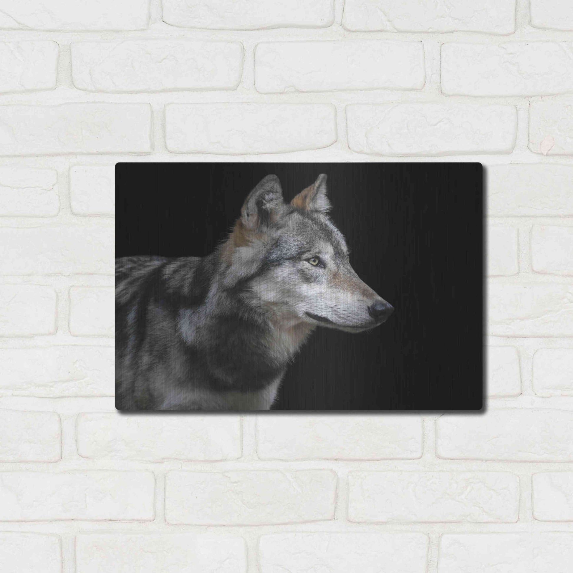 Luxe Metal Art 'Wolf' by Luxe Portfolio, Metal Wall Art,16x12