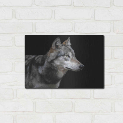 Luxe Metal Art 'Wolf' by Luxe Portfolio, Metal Wall Art,16x12