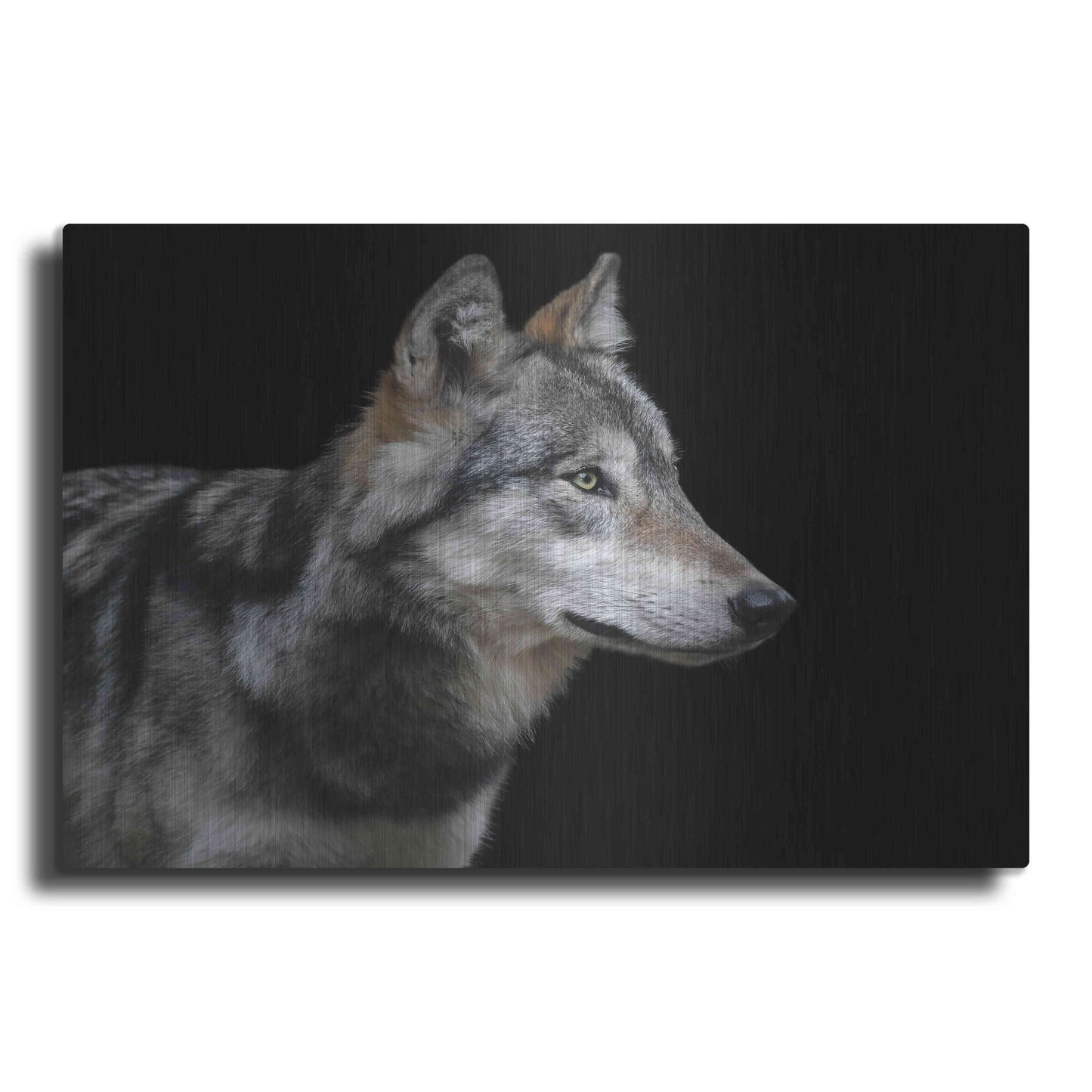 Luxe Metal Art 'Wolf' by Luxe Portfolio, Metal Wall Art