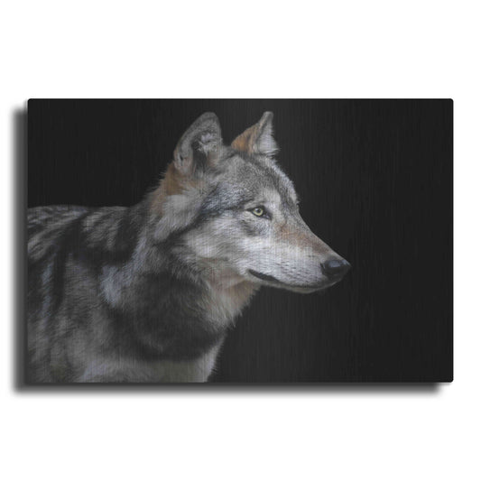 Luxe Metal Art 'Wolf' by Luxe Portfolio, Metal Wall Art