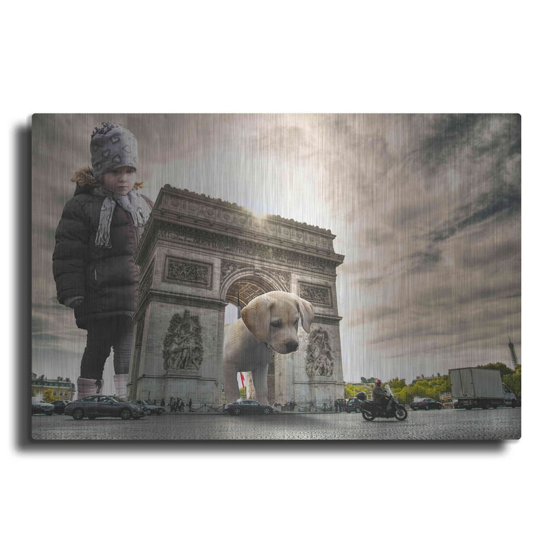 'Playtime' by Shutterstock Alan – Metal Wall Art