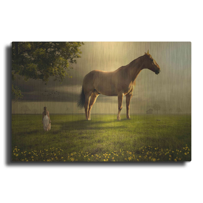 'Field of Visions' by Shutterstock Alan – Metal Wall Art