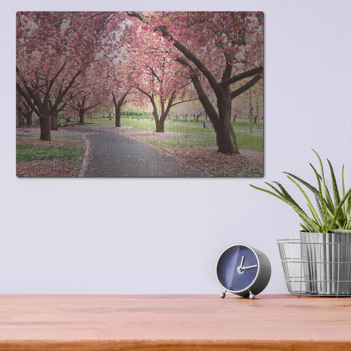 'Cherry Parade' by Kathrine Gendreau – Metal Wall Art, 16x12 room view