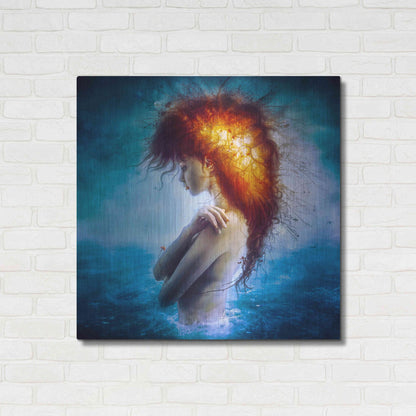 Luxe Metal Art 'Nirvana' by Mario Sanchez Nevado, Metal Wall Art,36x36