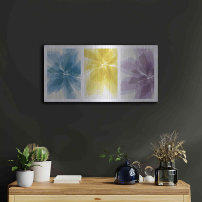 Luxe Metal Art 'Three Xray Flowers' by JJ Brando, Metal Wall Art,24x12