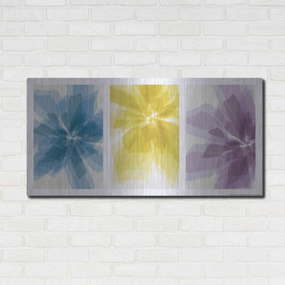 Luxe Metal Art 'Three Xray Flowers' by JJ Brando, Metal Wall Art,48x24