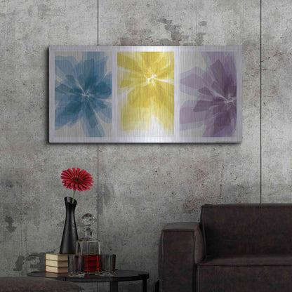 Luxe Metal Art 'Three Xray Flowers' by JJ Brando, Metal Wall Art,48x24