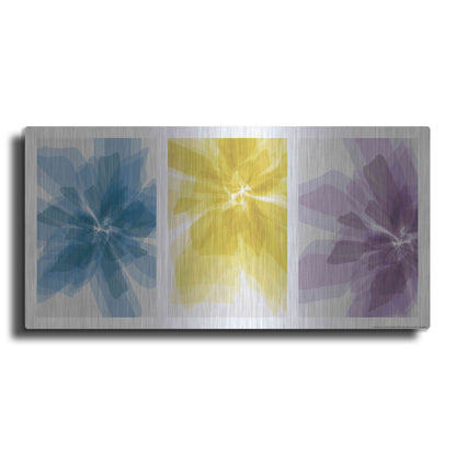 Luxe Metal Art 'Three Xray Flowers' by JJ Brando, Metal Wall Art