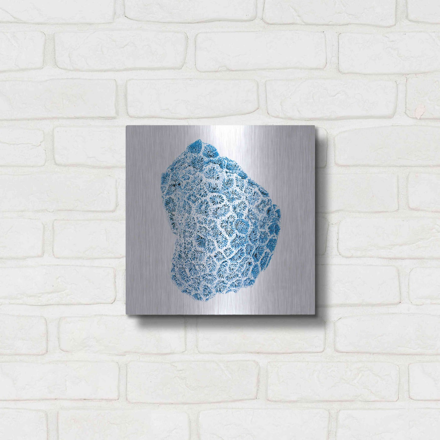 Luxe Metal Art 'Blue Coral' by JJ Brando, Metal Wall Art,12x12