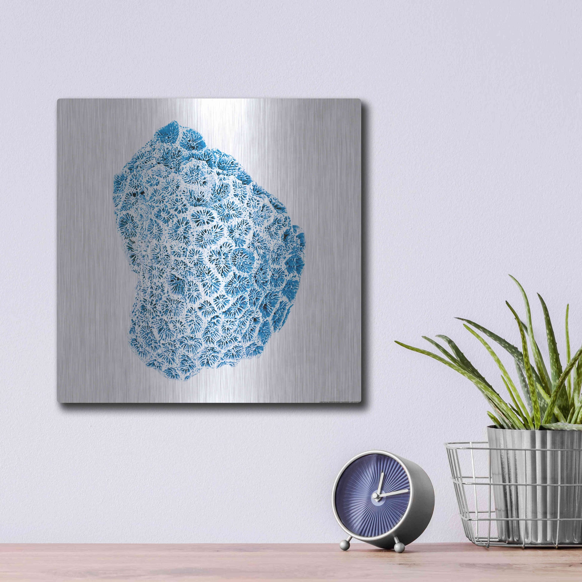 Luxe Metal Art 'Blue Coral' by JJ Brando, Metal Wall Art,12x12