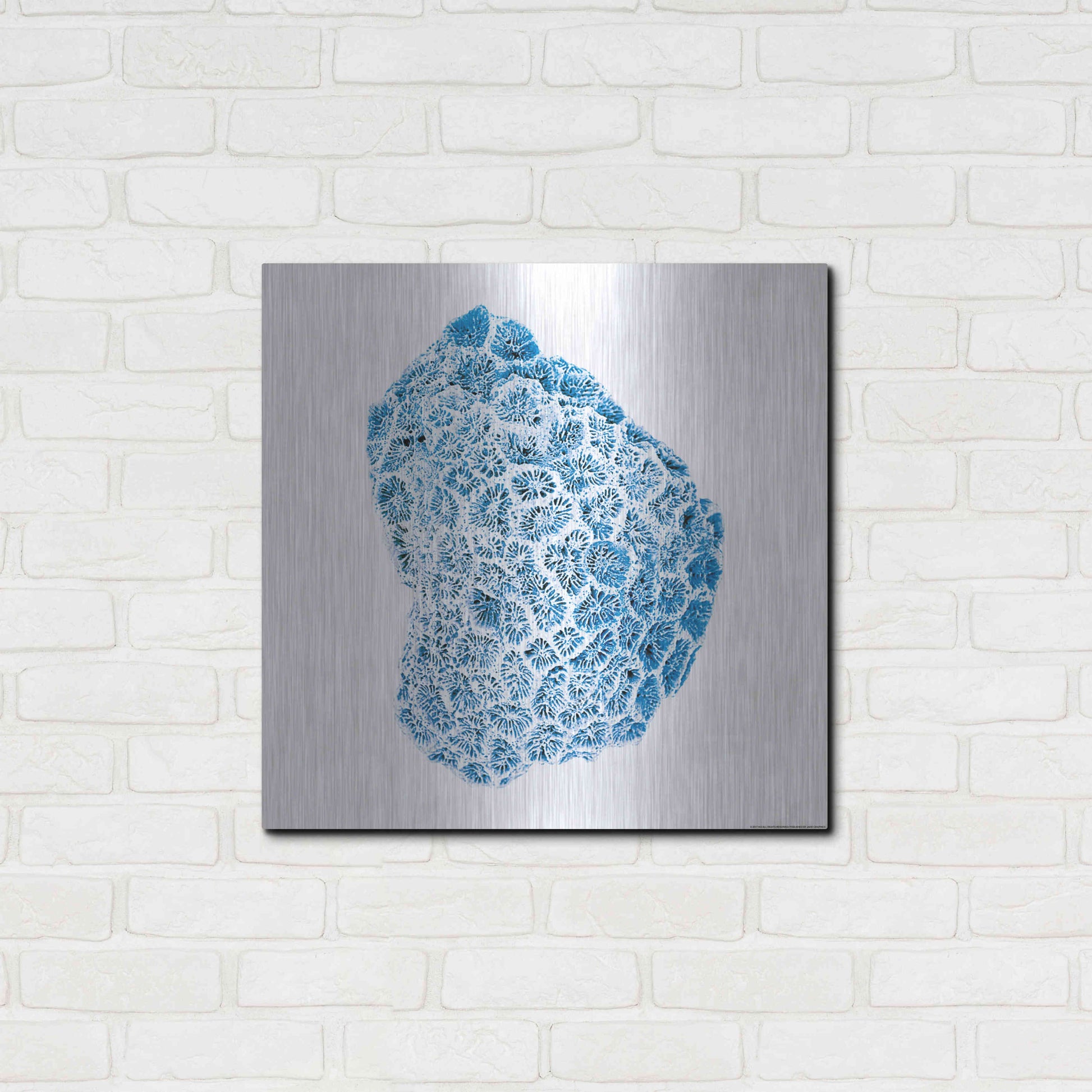 Luxe Metal Art 'Blue Coral' by JJ Brando, Metal Wall Art,24x24