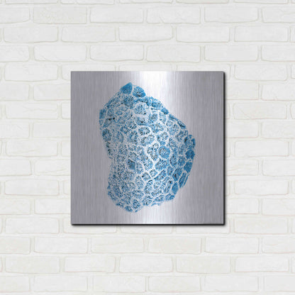 Luxe Metal Art 'Blue Coral' by JJ Brando, Metal Wall Art,24x24