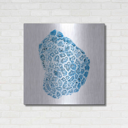 Luxe Metal Art 'Blue Coral' by JJ Brando, Metal Wall Art,36x36