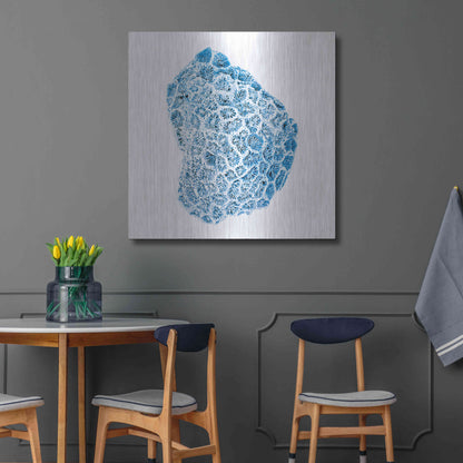 Luxe Metal Art 'Blue Coral' by JJ Brando, Metal Wall Art,36x36