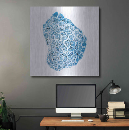 Luxe Metal Art 'Blue Coral' by JJ Brando, Metal Wall Art,36x36