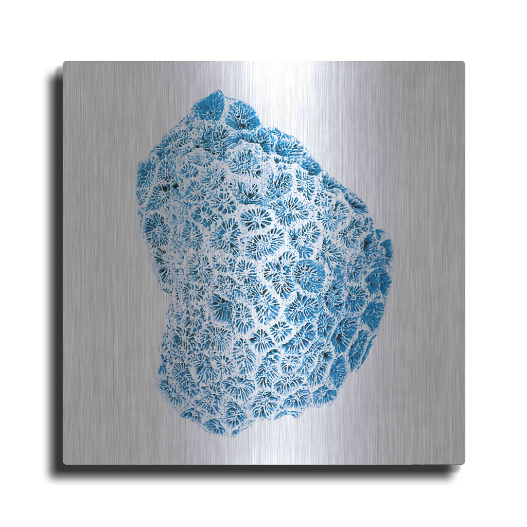 Luxe Metal Art 'Blue Coral' by JJ Brando, Metal Wall Art