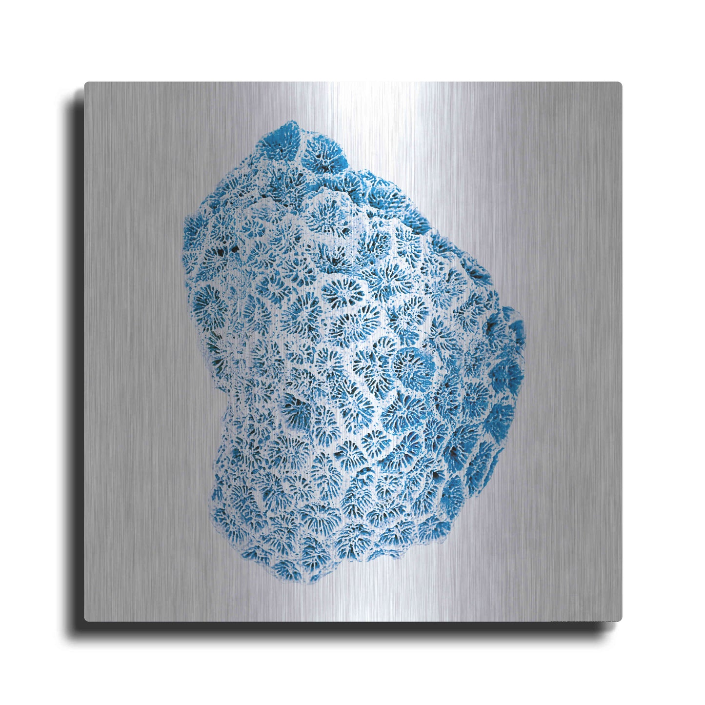 Luxe Metal Art 'Blue Coral' by JJ Brando, Metal Wall Art