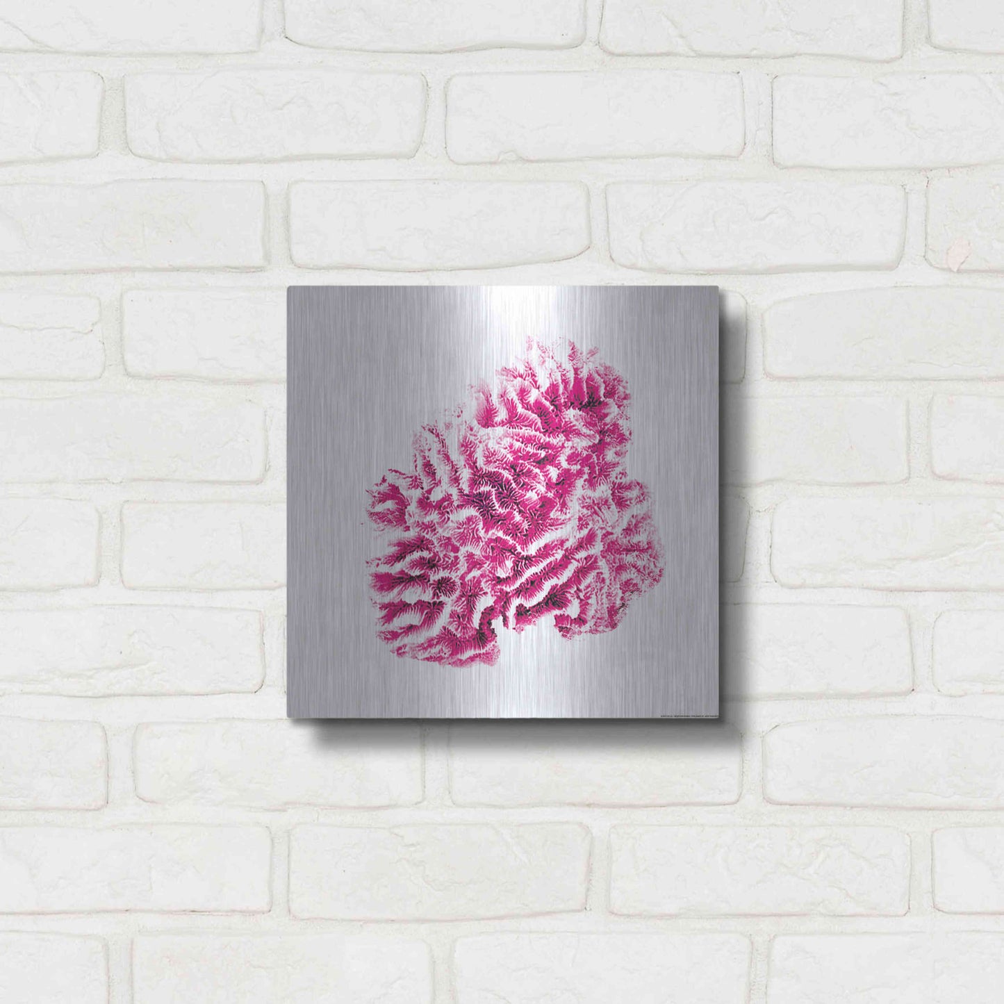 Luxe Metal Art 'Red Coral' by JJ Brando, Metal Wall Art,12x12