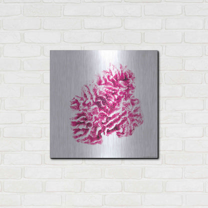 Luxe Metal Art 'Red Coral' by JJ Brando, Metal Wall Art,24x24