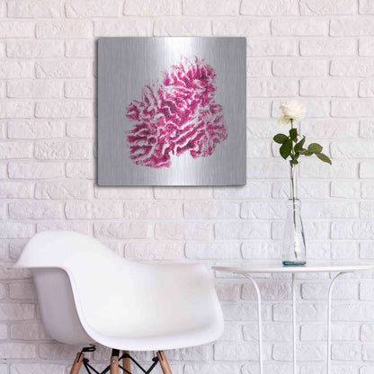 Luxe Metal Art 'Red Coral' by JJ Brando, Metal Wall Art,24x24