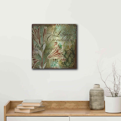 Luxe Metal Art 'Lilies 2' by Viv Eisner, Metal Wall Art,12x12