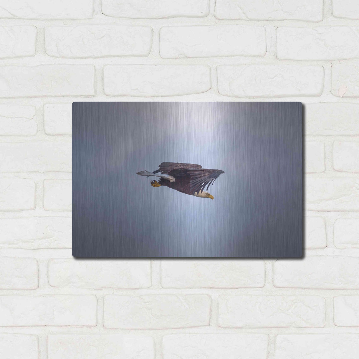 Luxe Metal Art 'Bald Eagle Soas' by Epic Portfolio, Metal Wall Art,16x12