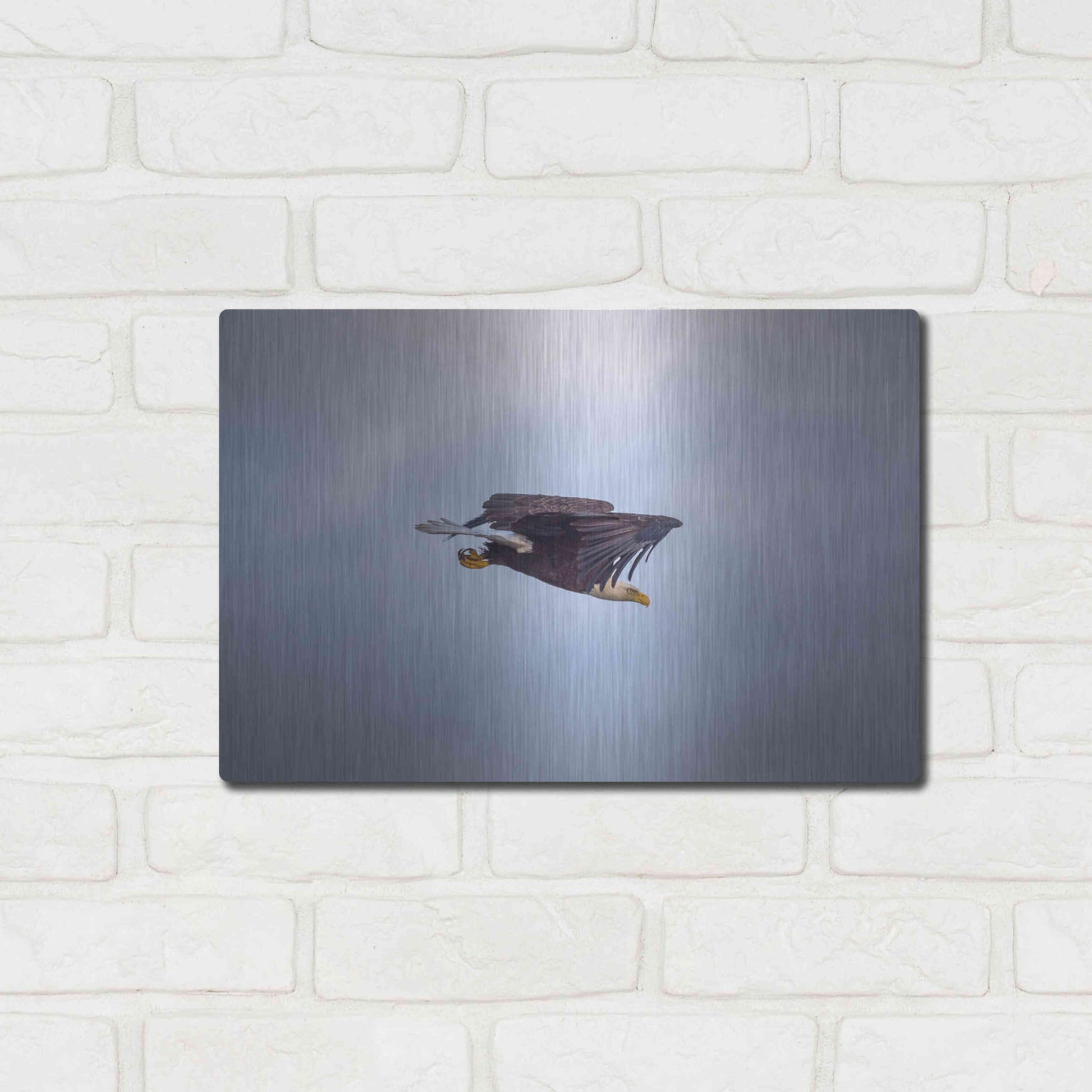 Luxe Metal Art 'Bald Eagle Soas' by Epic Portfolio, Metal Wall Art,16x12