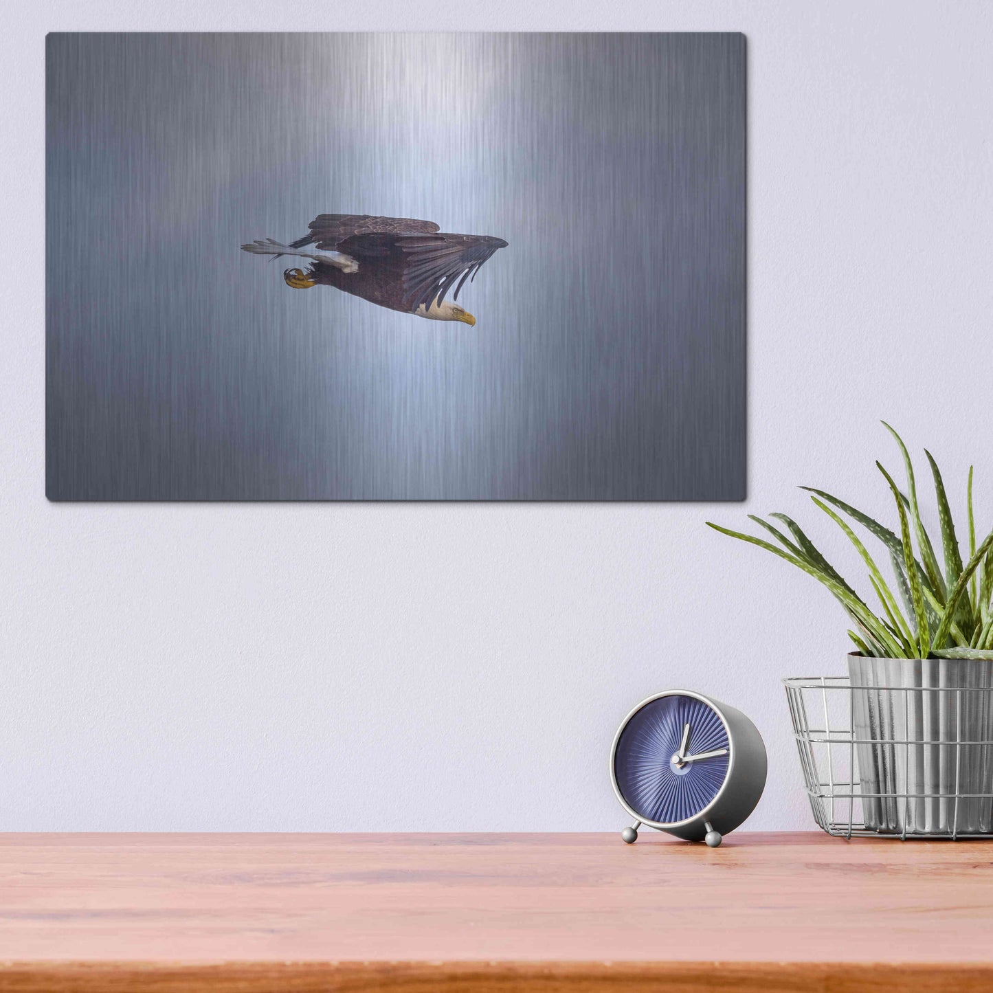 Luxe Metal Art 'Bald Eagle Soas' by Epic Portfolio, Metal Wall Art,16x12