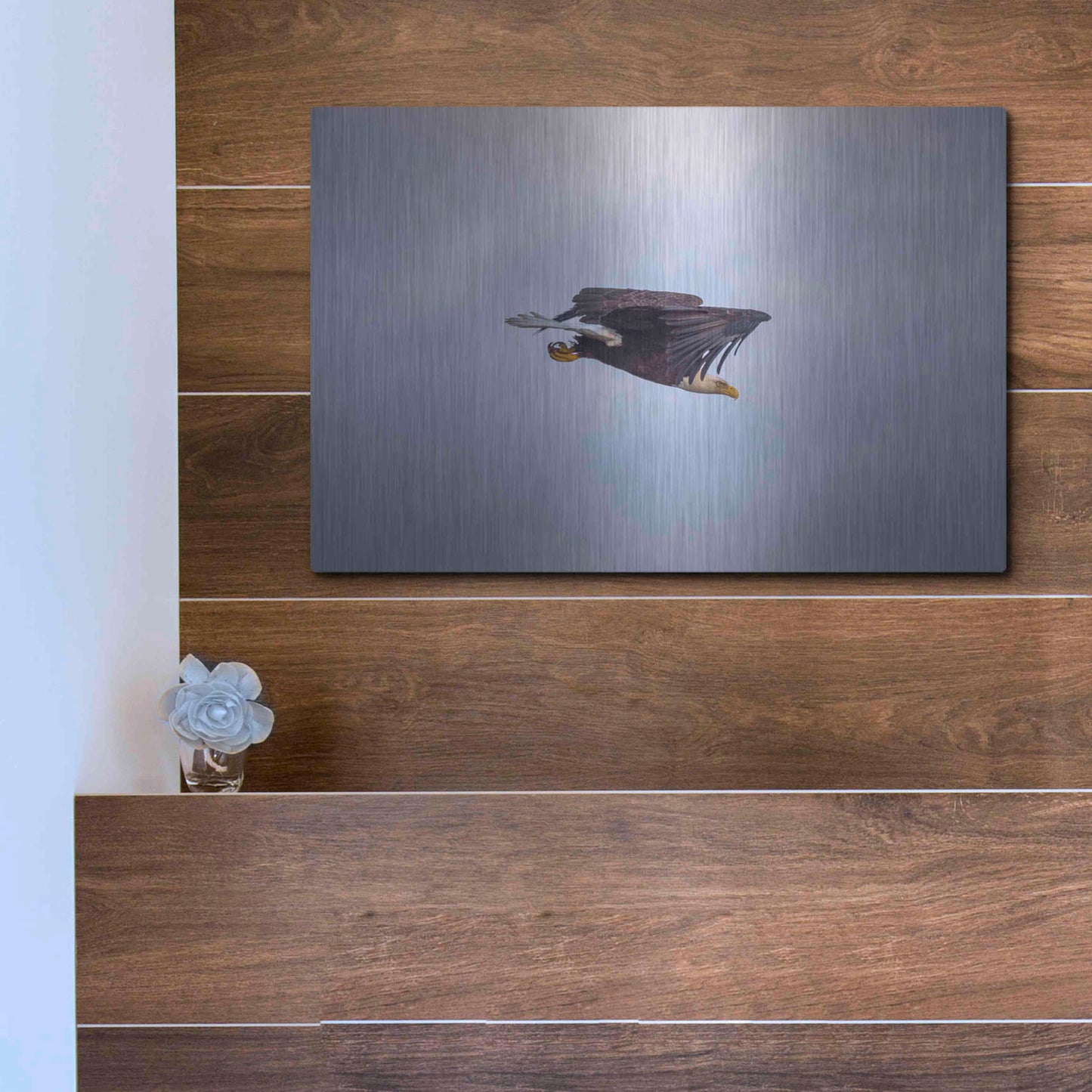 Luxe Metal Art 'Bald Eagle Soas' by Epic Portfolio, Metal Wall Art,16x12