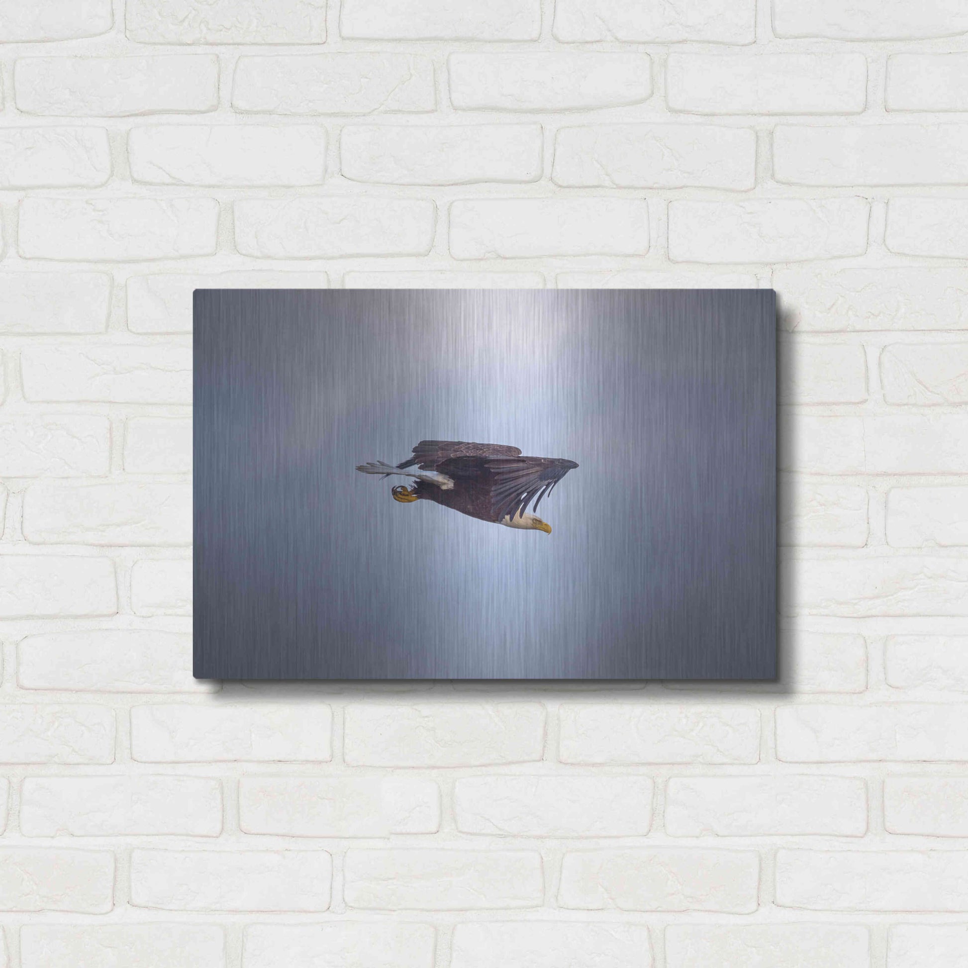 Luxe Metal Art 'Bald Eagle Soas' by Epic Portfolio, Metal Wall Art,24x16