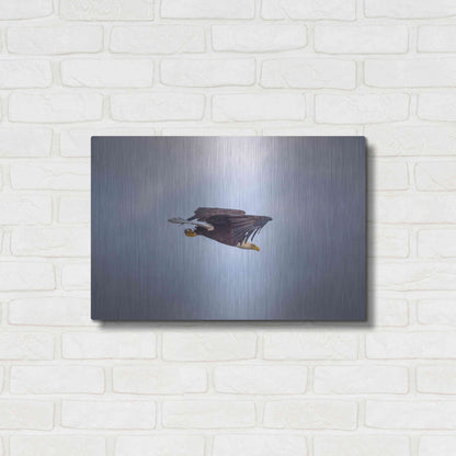 Luxe Metal Art 'Bald Eagle Soas' by Epic Portfolio, Metal Wall Art,24x16