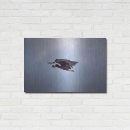 Luxe Metal Art 'Bald Eagle Soas' by Epic Portfolio, Metal Wall Art,36x24