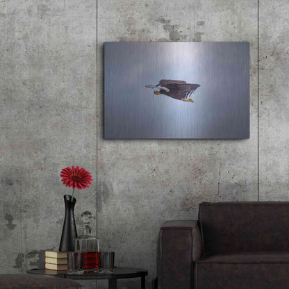Luxe Metal Art 'Bald Eagle Soas' by Epic Portfolio, Metal Wall Art,36x24